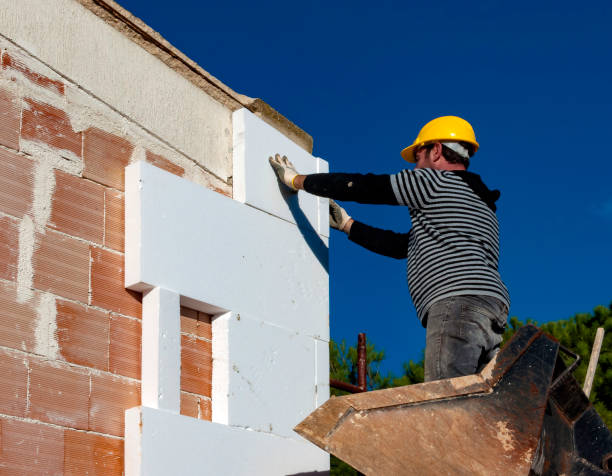 Best Residential Insulation in Buchanan, VA