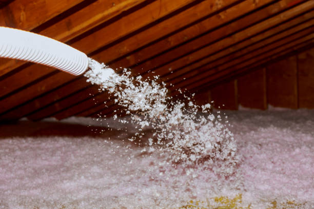 Best Insulation Materials and Products in Buchanan, VA