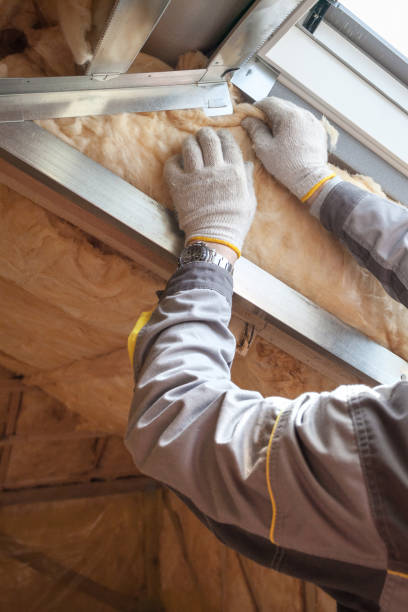 Best Insulation Installation Services in Buchanan, VA