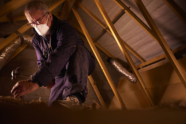 Best Commercial Insulation in Buchanan, VA